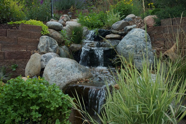 water features through walls, gardening, landscape, outdoor living, ponds water features, wall decor, A 75 stream with several ponds meanders through this Golden Colorado hillside and ends in a beautiful koi pond