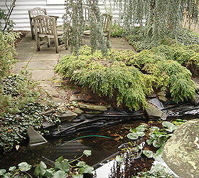 backyard waterfall water garden pond restoration remodel repair with led lighting, landscape, outdoor living, ponds water features, Rochester NY Waterfall Pond Before Acorn Landscaping Certified Aquascape Contractor of Rochester NY This pond was 20 years old and in need of a Filtration System to have a balanced ecosystem Acorn Landscaping