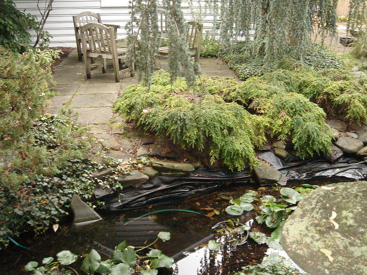 backyard waterfall water garden pond restoration remodel repair with led lighting, landscape, outdoor living, ponds water features, Rochester NY Waterfall Pond Before Acorn Landscaping Certified Aquascape Contractor of Rochester NY This pond was 20 years old and in need of a Filtration System to have a balanced ecosystem Acorn Landscaping