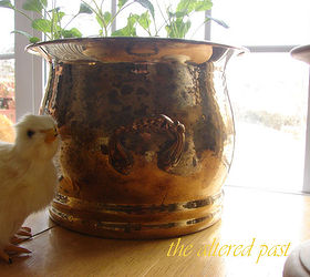 blue and white spring decor, repurposing upcycling, seasonal holiday decor, Kale started from seed growing in a brass planter The little chick is so life like he s fooled a few people