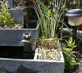 putting aquatic plants in a water fountain planter, gardening, ponds water features