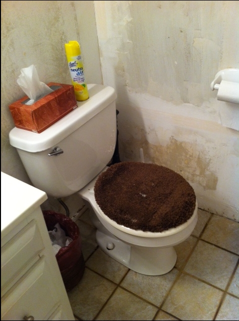 q unloved bathroom help, bathroom ideas, cleaning tips, diy, flooring, home improvement, home maintenance repairs, tile flooring, tiling, We re in the middle of patching and painting Just looking for suggestions to reduce the odor
