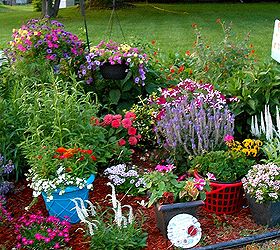 summer time flowers, flowers, gardening, Mid June in zone 5 6 Upstate NY I say zone 5 6 because while we re actually in zone 5 living 5 miles from Lake Ontario keeps zone 6 plants coming back in the spring Had fun adding some color this year by spray painting old pots