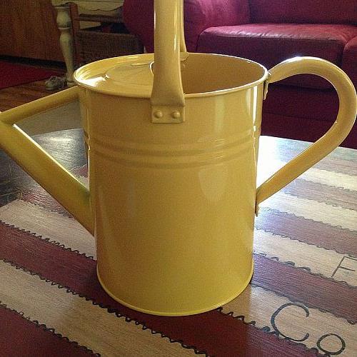 painted watering can, crafts