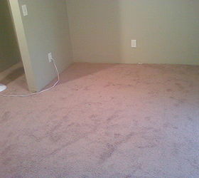 our master bedroom project, bedroom ideas, doors, home improvement, The carpet looks pink but it s actually light brown