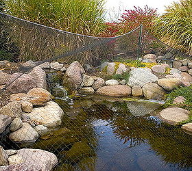10 tips for preparing your pond for the winter, outdoor living, perennial, ponds water features, Tip 8 Cover your Pond with Pond Netting during the big leaf drop period It can be removed after most of the leaves have fallen You can elect to keep your pond running all winter Watch for ice damning and add water as needed