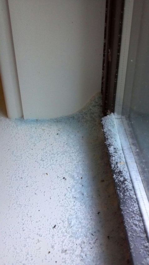 what is this mysterious blue powder that keeps collecting on our window and sill, pest control, windows, You can see whatever this stuff is how it collects in drifts on the inside We have not seen this stuff on the outside of the windows