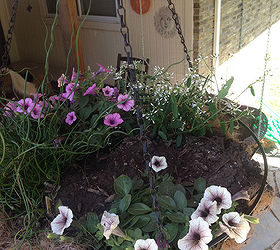 kids mothers day gardening project a proven winner, container gardening, flowers, gardening, Hanging Basket