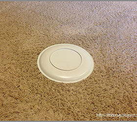how to remove pet stains from carpet, cleaning tips, flooring