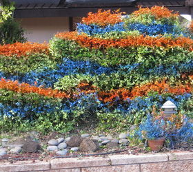 front hedge trimmed, gardening, The hedge boders the Fiber Optic Lite waterfall