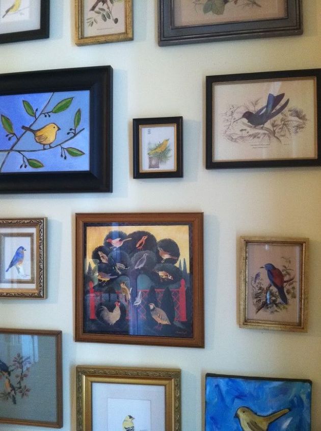 collection of bird paintings and prints, home decor