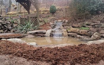Ecosystem Fish Pond Renovation in Northern New Jersey
