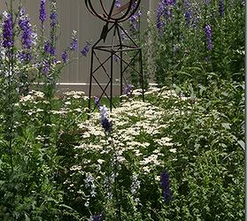 How to Achieve a Weed Free Cottage Garden Hometalk