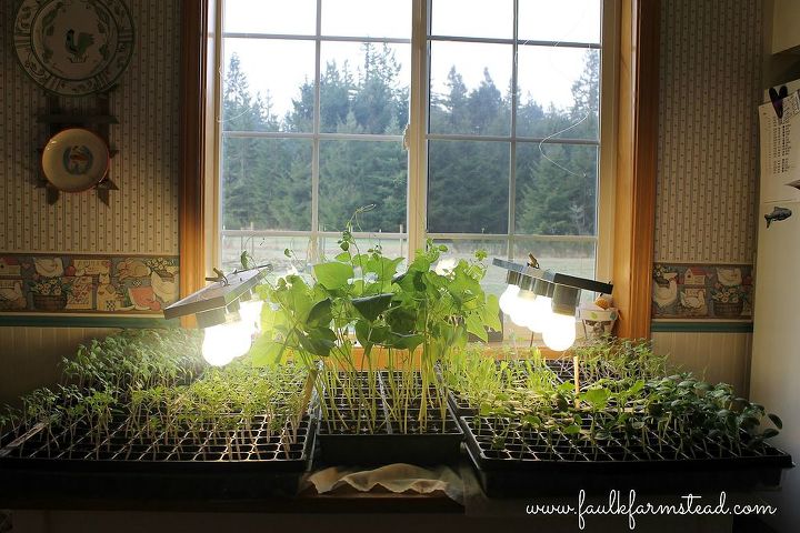 diy grow lamps for spring seedlings, diy, gardening, lighting