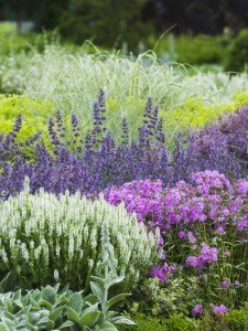 beautiful spring gardens in 3 easy steps, gardening, Expert knowledge at your finger tips