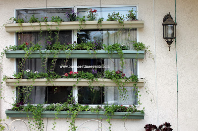living window shade, container gardening, flowers, gardening, outdoor living, repurposing upcycling, window treatments, windows
