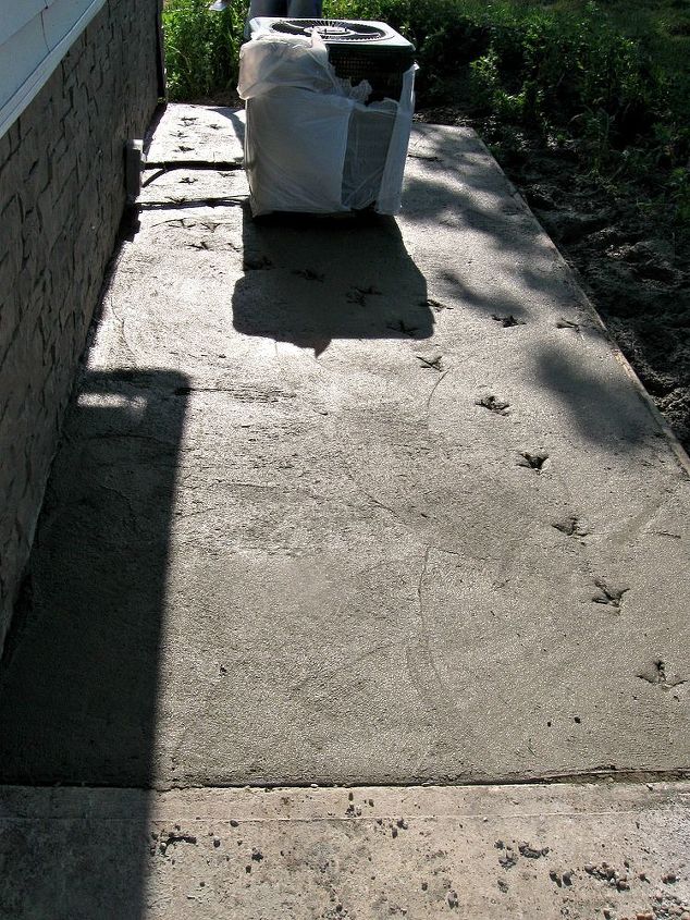 chicken claws and kitty paws, concrete masonry, Aloysius the rooster decided to take a stroll across the wet concrete