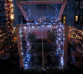 urban garden winterizing update, container gardening, diy, flowers, gardening, perennial, seasonal holiday decor, urban living, Cold Frame OPEN NIGHT Year One Image included in a Life on the Balcony