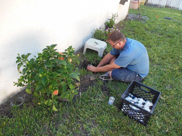 a labor of love, flowers, gardening, hibiscus, What better opportunity to ask hubs to fix the sprinkler line I broke than while he waits for concrete to set 9 10 13