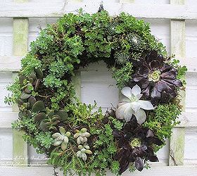 diy project make your own succulent wreath, crafts, flowers, gardening, succulents, wreaths, a succulent wreath