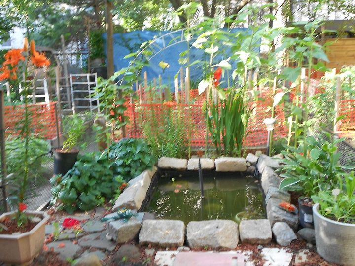 creating your own garden space, gardening, A beautiful pond for all to enjoy A 3 day project I recycled everything to create this pond