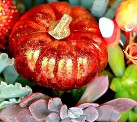 small bursts of fall on the porch, porches, seasonal holiday decor, wreaths, Succulent planters get warmed up with fall colors via tiny pumpkins and gourds