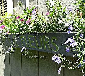 upcycled garden shed window, curb appeal, gardening, outdoor living, windows