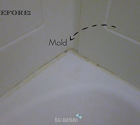 how to fix mold in your bathtub, bathroom ideas, cleaning tips, I should have done this when we first moved in