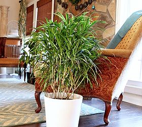 Adding Plants for the New Year!
