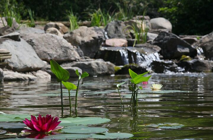 enjoy the sight and sound of water add a pond to your landscape, landscape, outdoor living, ponds water features