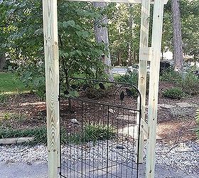 my new pergola with gate, fences, gardening