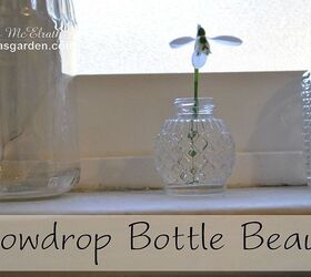 snowdrop bottle beauty, home decor, windows