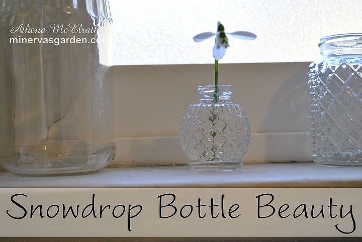 snowdrop bottle beauty, home decor, windows