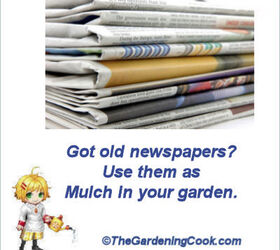 uses of old newspapers for your garden, gardening, repurposing upcycling