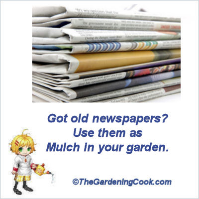 uses of old newspapers for your garden, gardening, repurposing upcycling