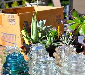 diy reuse glass insulators for succulent planting, flowers, gardening, repurposing upcycling, succulents, Ready to plant