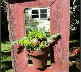 top flower junk garden posts 2012, container gardening, flowers, gardening, repurposing upcycling, succulents, In Framing a Succulent I share a copy cat frame idea I borrowed from Under the Table and Dreaming blog