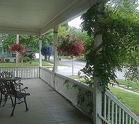 nervous about cutting my climbers for painting, Wisteria view from on the porch