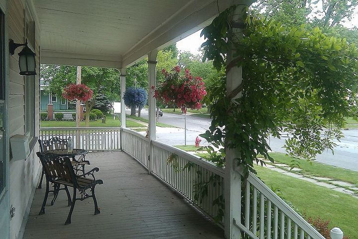 nervous about cutting my climbers for painting, Wisteria view from on the porch