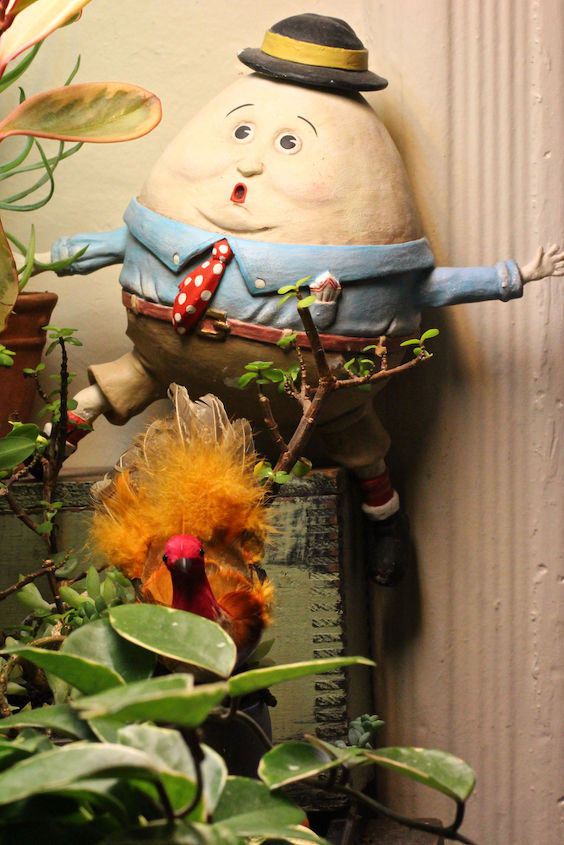 thanksgiving decor using a cast of characters part three, crafts, seasonal holiday decor, thanksgiving decorations, Ruffled Feathers seen here with Humpty Dumpty a permanent resident in my succulent garden