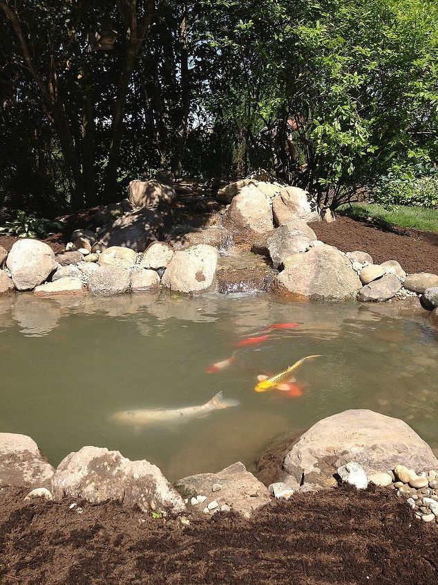 pond renovation, outdoor living, ponds water features