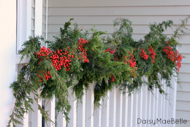 decorating my front porch for christmas, christmas decorations, porches, seasonal holiday decor, The garland is made from cedar and berries
