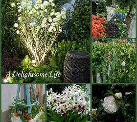 southeastern flower show, flowers, gardening, So many gorgeous flowers were displayed at the Southeastern Flower Show