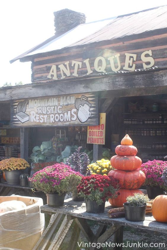 the best place to buy pumpkins other fall decor, gardening, seasonal holiday decor