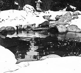 winter water features, ponds water features, Winter day s Reflection