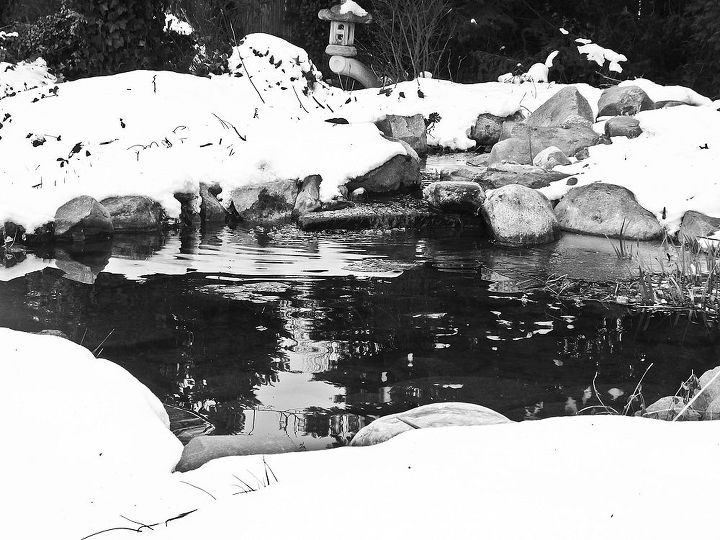 winter water features, ponds water features, Winter day s Reflection