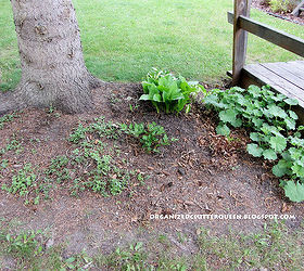 making a terra cotta pot flower bed edging, flowers, gardening, perennials, The first step is to clean up the flower bed in the spring I did any weeding necessary and raked up pine cones needles and leaves in the area