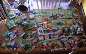 Seeds, Seeds, and More!  Yahoo Time to Start