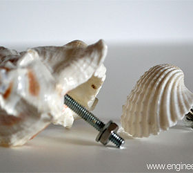 diy decorative shell dresser knobs, crafts, painted furniture, DIY decorative shell dresser knobs