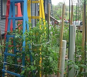 tomato cages vs tomato ladders and conserving rain water